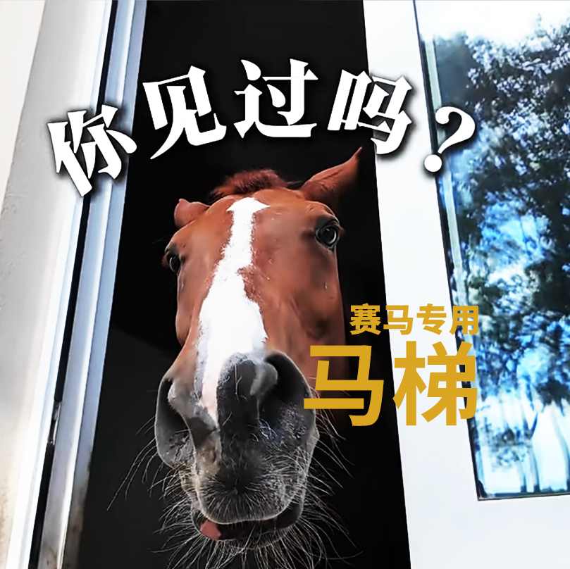 當飛馬遇見巨立——無錫體育公園的智慧一躍
